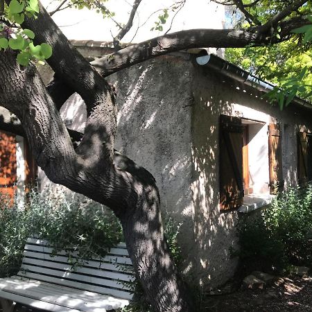 Studio Mitoyen / 2 Personnes Hyères Zewnętrze zdjęcie